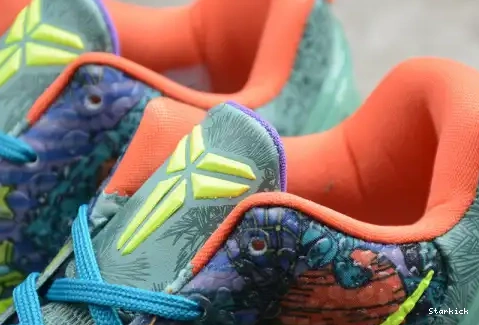 (All Kobe 640220-001  Nike Star MVP) 6 Prelude 0702